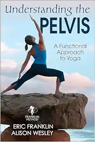 Understanding The Pelvis: A Functional Approach To Yoga (PDF)