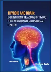 Thyroid And Brain: Understanding The Actions Of Thyroid Hormones In Brain Development And Function (EPUB)