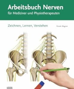 Arbeitsbuch Nerven: Zeichnen, Lernen, Verstehen (VORKLINIK – Lehrbuch – Urban & Fischer-Verlag) (German Edition) (PDF)