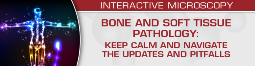 Bone and Soft Tissue Pathology: Keep Calm and Navigate the Updates and Pitfalls 2024